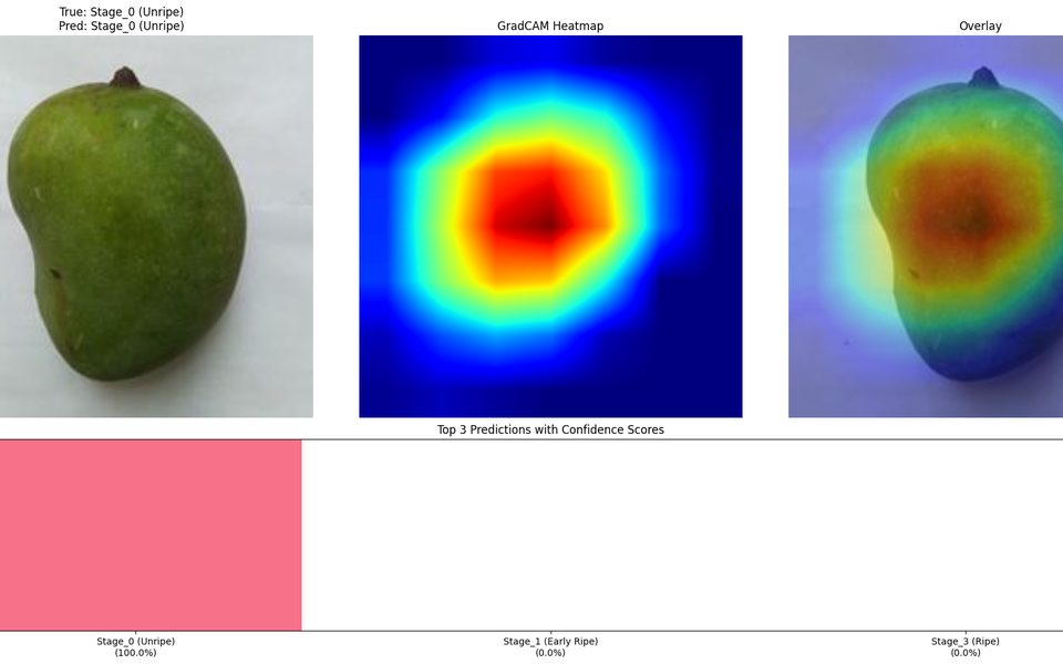 Mango Ripeness Classification screenshot